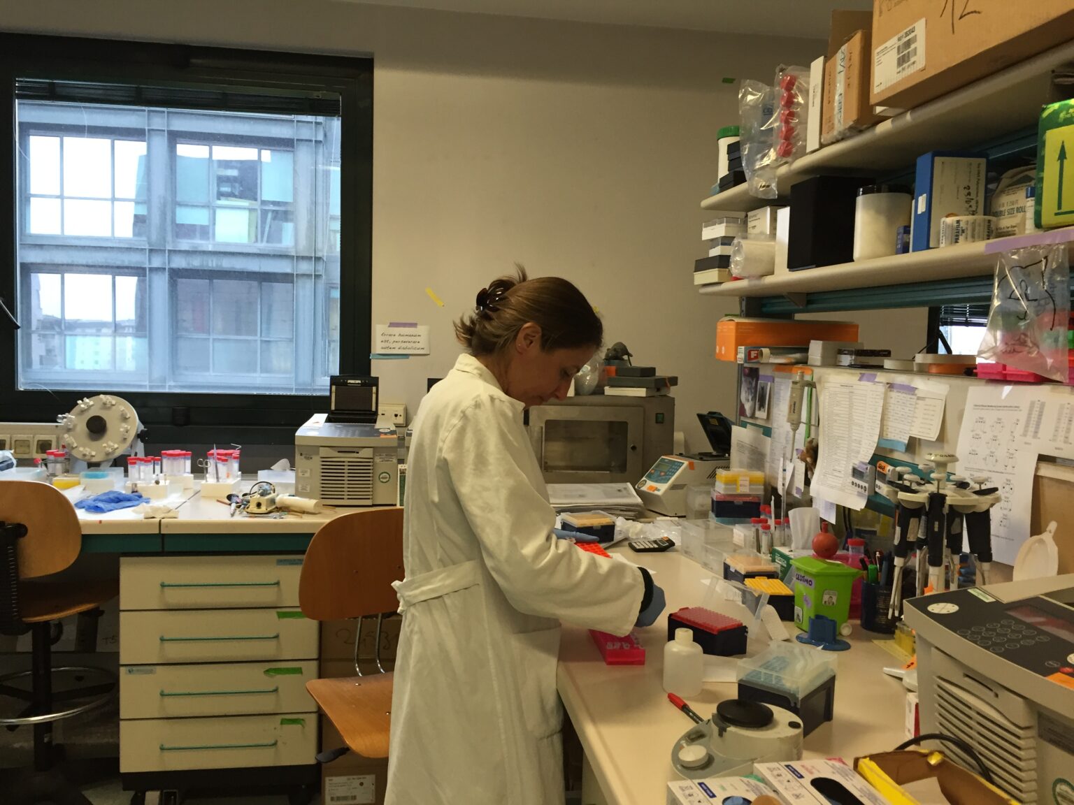 Laboratorio di Biologia della Cellula Muscolare - Istituto Neurologico "C. Besta"