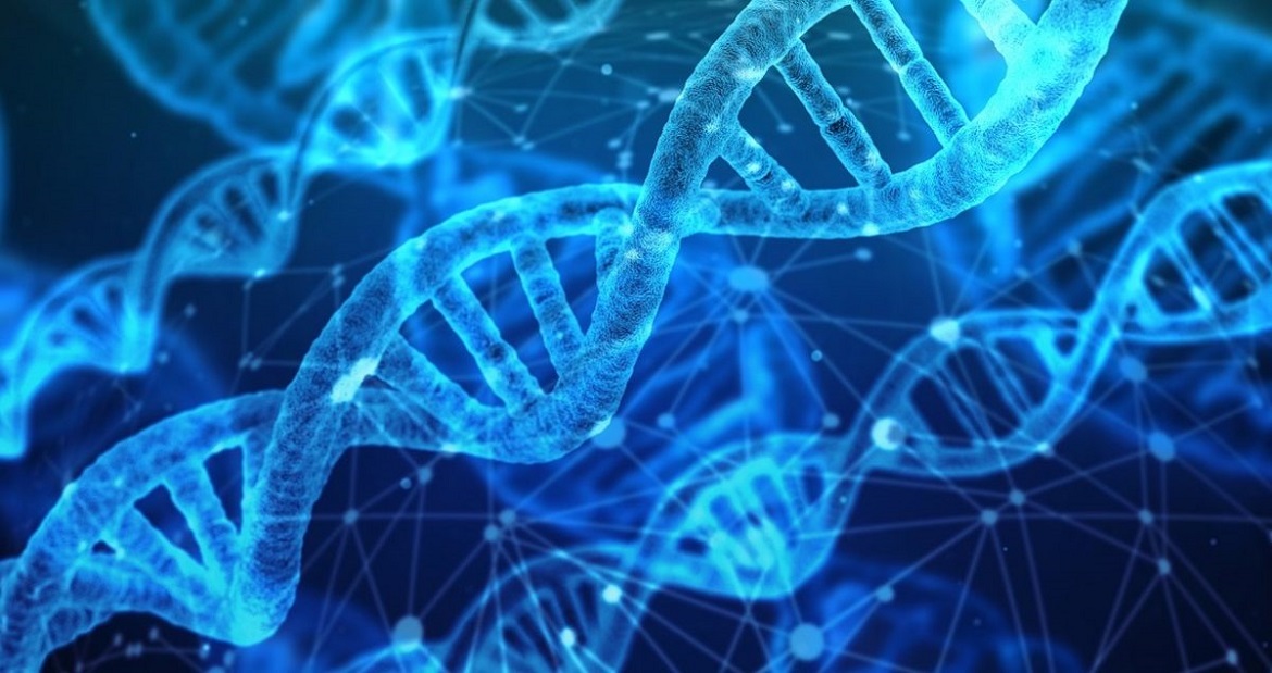 DNA
