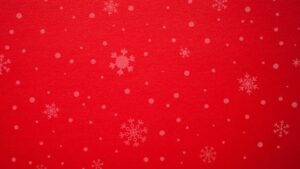 NATALE 23 UILDM